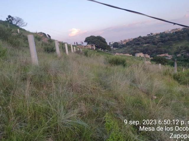 TERRENO EJIDAL