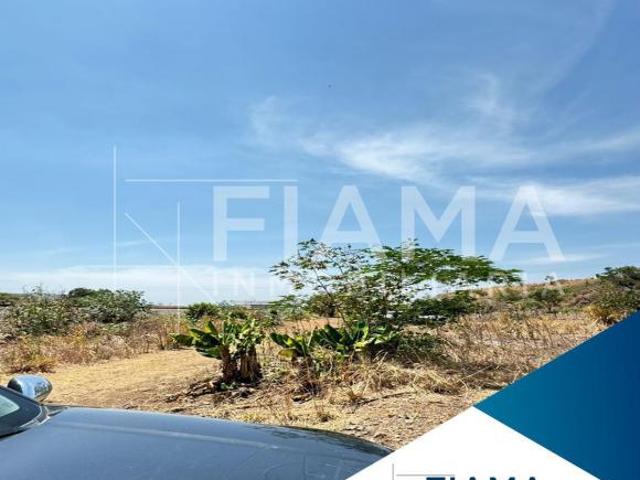 TERRENO EJIDAL EN VENTA EN MORA, TEPIC, NAYARIT EU