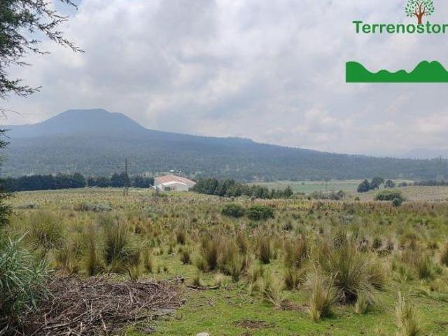Venta de Terreno en Santo Tomás Ajusco, Tlalpan