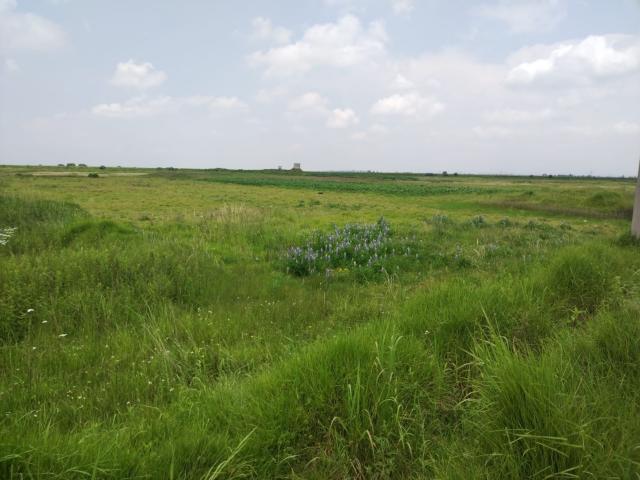 Terreno Ejidal en Venta en San Nicolás Peralta, Lerma, Estado de México