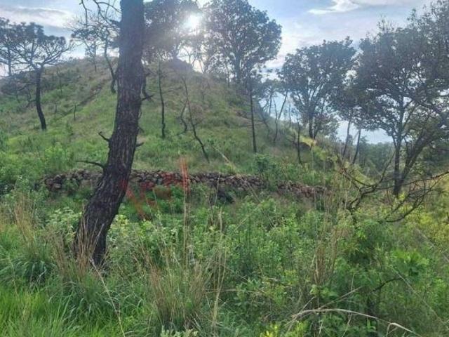 TERRENO EJIDAL EN VENTA, LA PRIMAVERA, JALISCO