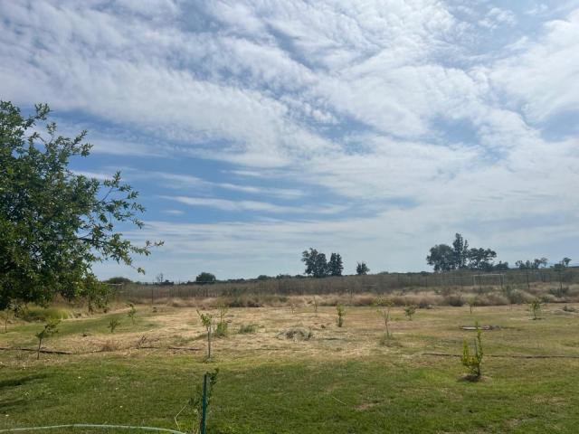 Terreno Ejido Nuevo M?xico