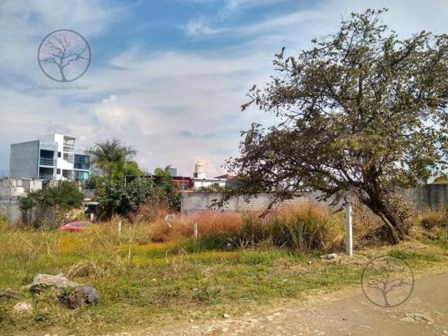 Terreno Ejido Acapatzingo
