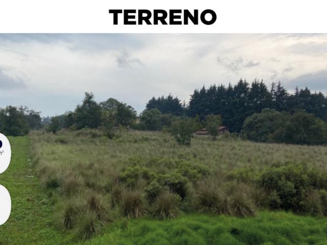 Terreno Ejido la Campana