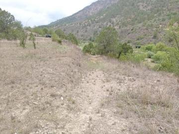 Terreno Ejido Los Lirios