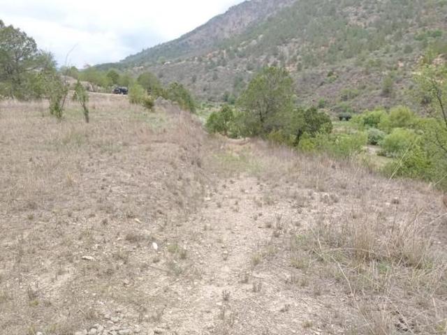Terreno Ejido Los Lirios