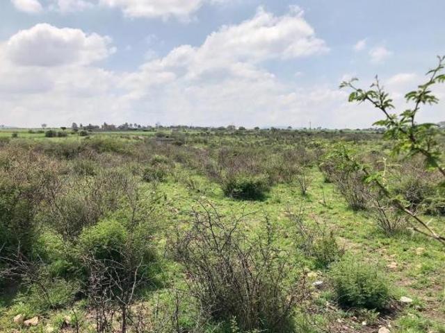 Terreno Ejido PUENTECILLAS