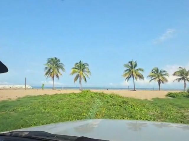 Terreno Ejido Zacualpan