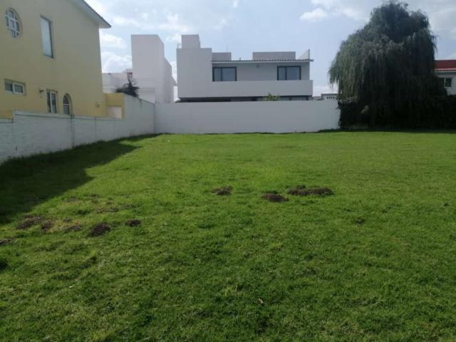 Terreno El Mes?n