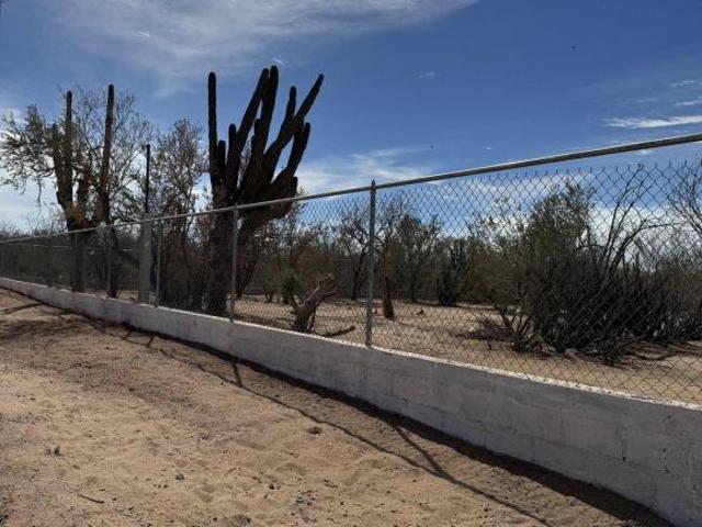 Terreno El NOVILLO