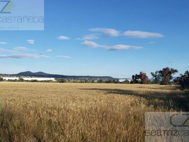 TERRENO, EL CERRITO, ZEMPOALA HIDALGO