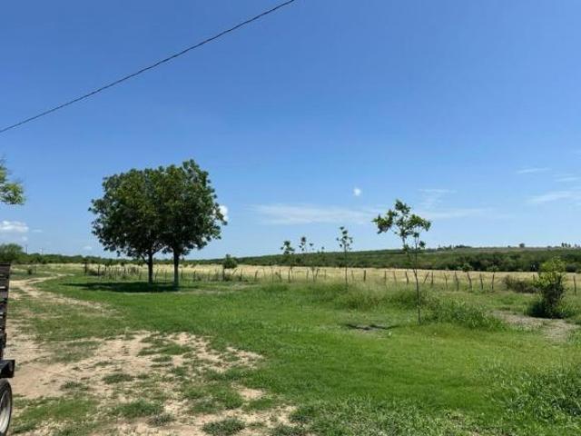 Terreno El Pinto