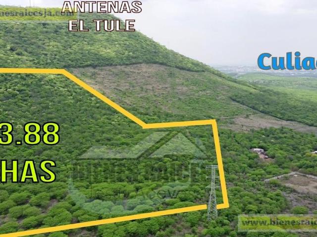 Terreno El Ranchito
