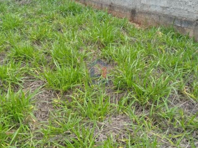 Terreno, Eldorado, Pará de Minas, MG