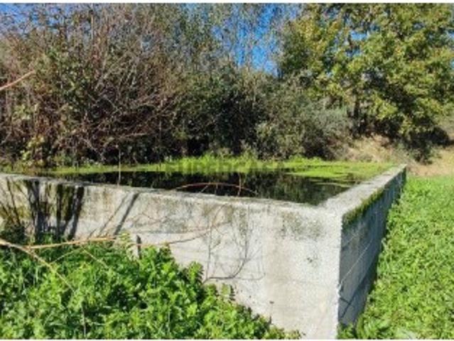 Terreno em Mões de 7026,00 m²
