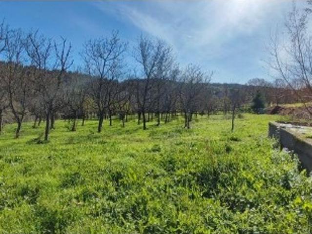 Terreno em Mões de 7026,00 m²