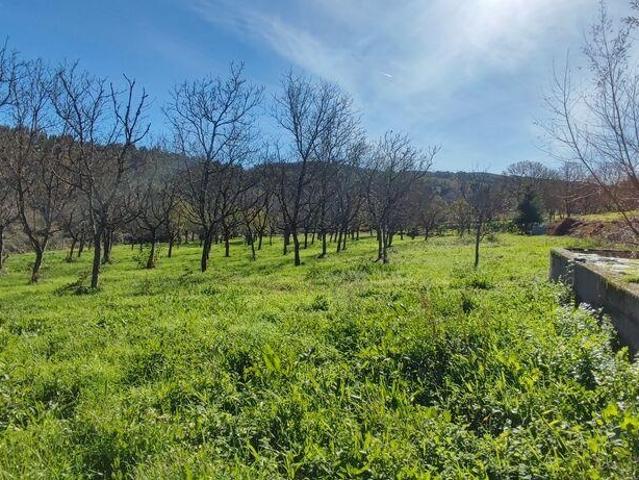 Terreno em Mões de 7026,00 m²