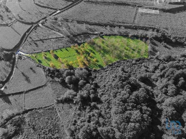 Terreno em Mões de 7026,00 m²