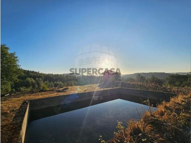 Terreno em Mação, Penhascoso e Aboboreira