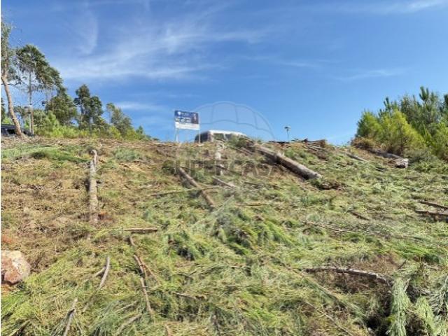 Terreno em Mação, Penhascoso e Aboboreira
