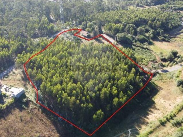 Terreno em Macieira de Cambra