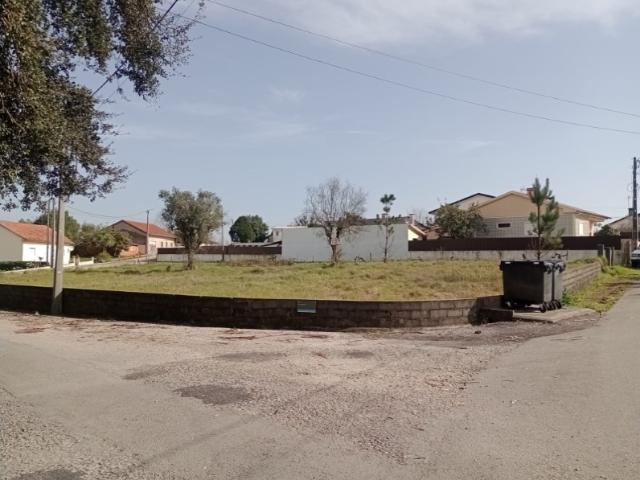 Terreno em Macinhata do Vouga