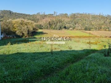 Terreno em Macinhata do Vouga