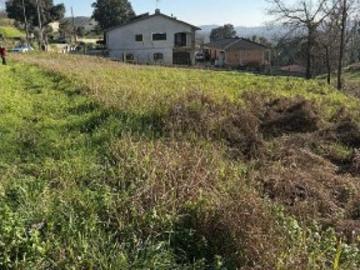 Terreno para construção em Albergaria a Velha e Valmaior