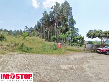 Terreno em Macinhata do Vouga Vistas Panorâmicas!