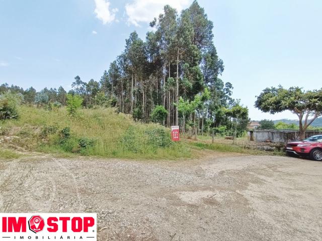 Terreno em Macinhata do Vouga Vistas Panorâmicas!