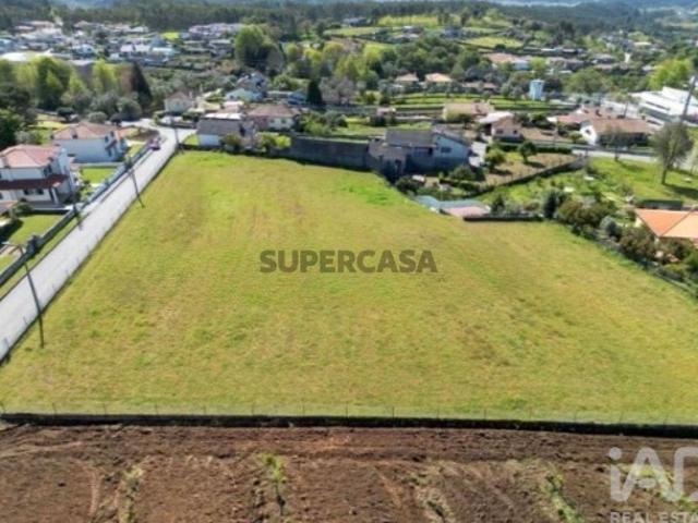 Terreno em Macinhata do Vouga de 5600,00 m²