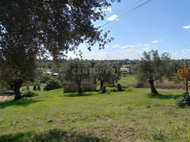 Terreno em Madalena e Beselga | Tomar Local Calmo e Iluminação Natural