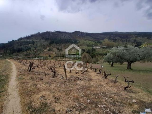 Terreno em Madalena e Samaiões