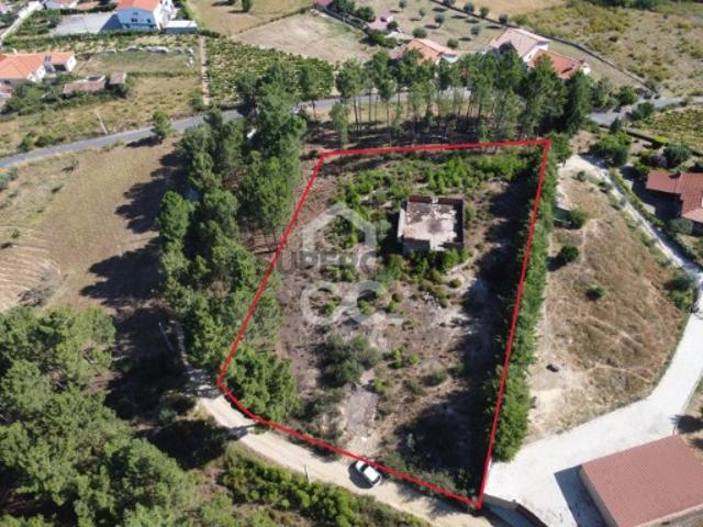 Terreno em Madalena e Samaiões