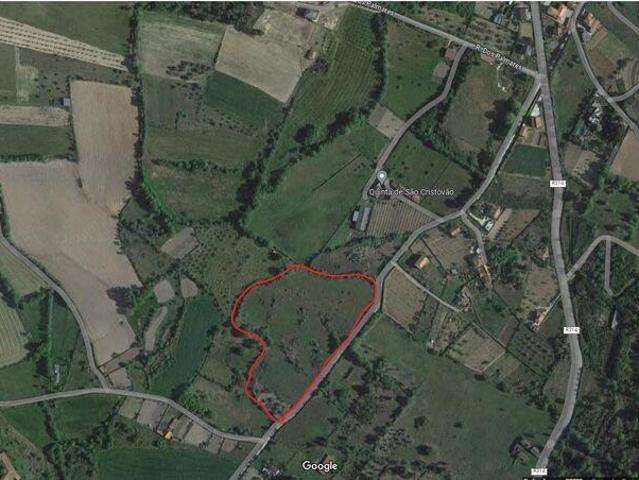 Terreno em Madalena e Samaiões de 19500,00 m²