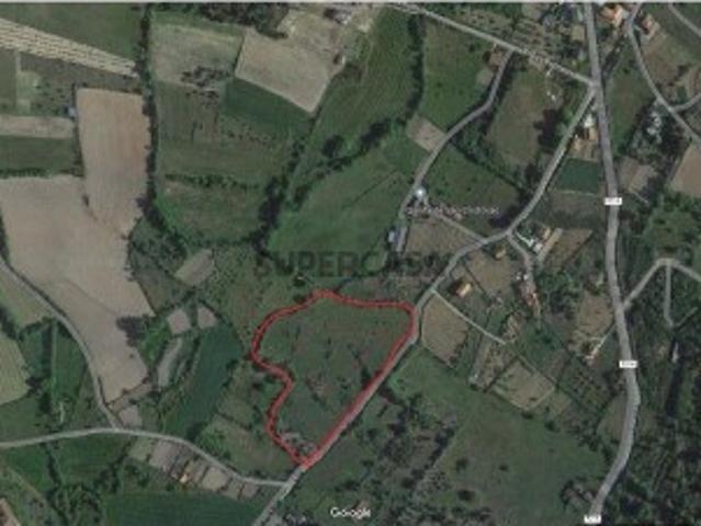 Terreno em Madalena e Samaiões de 19500,00 m²