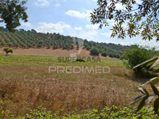 Terreno em Malhou, Louriceira e Espinheiro