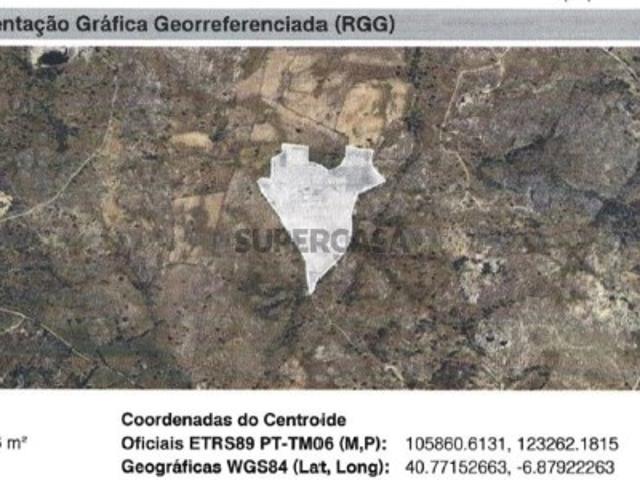 Terreno em Malpartida e Vale de Coelha