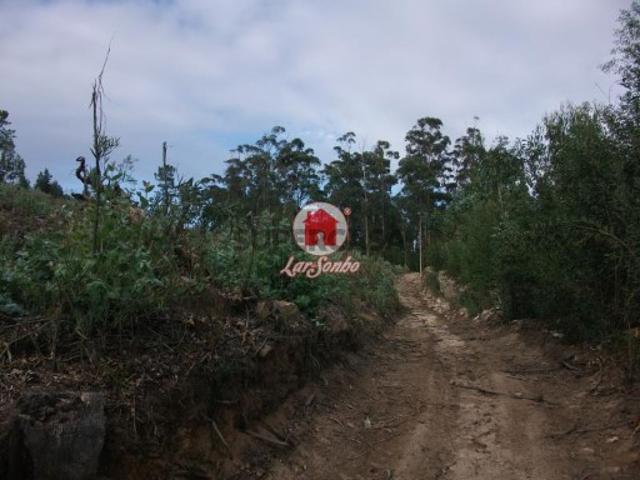 Não urbanizável em Canidelo