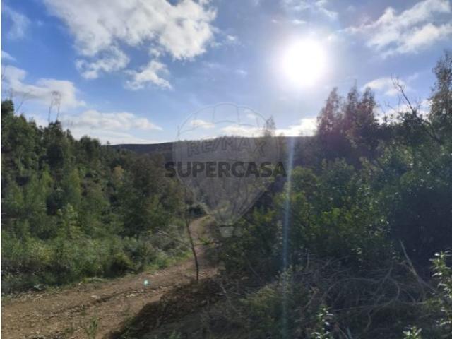 Terreno em Mexilhoeira Grande