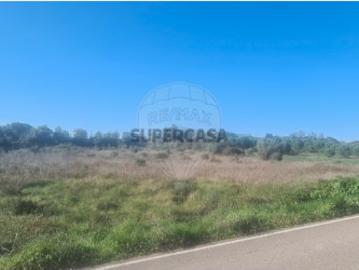 Terreno em Marmeleira e Assentiz