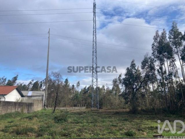 Terreno em Marinha Grande