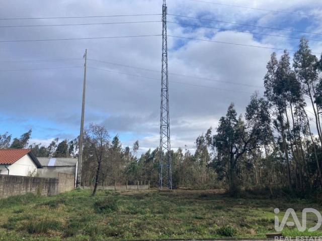 Terreno em Marinha Grande