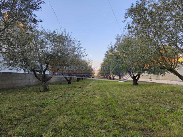 Terreno em Marinhais M812