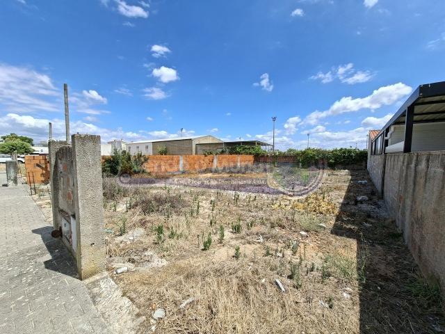 Terreno em Marinhais M829