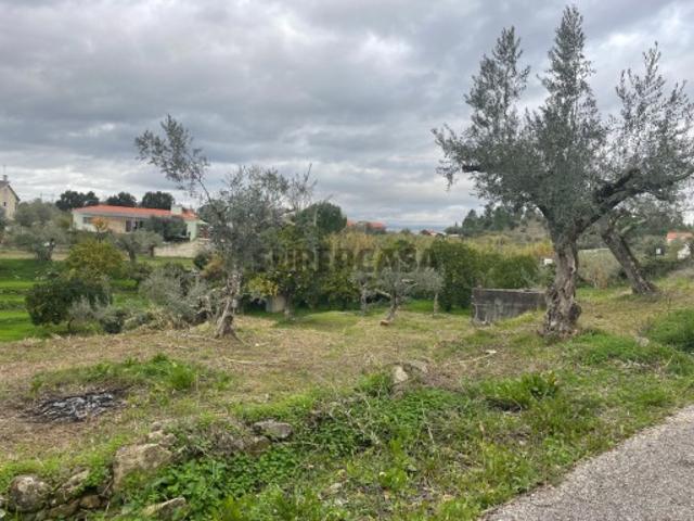Terreno em Martinchel, Abrantes