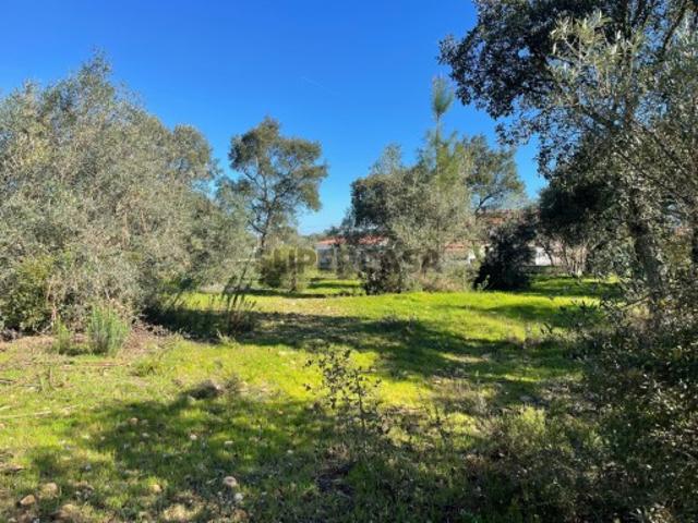 Terreno em Martinchel, Abrantes