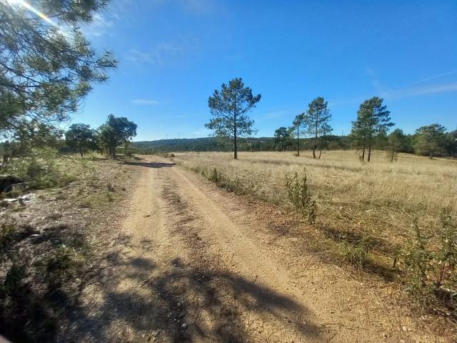 Terreno em Maxiais, Castelo Branco