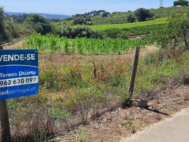 Terreno em Maxial e Monte Redondo de 3080,00 m²