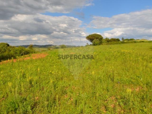 Terreno em Meca